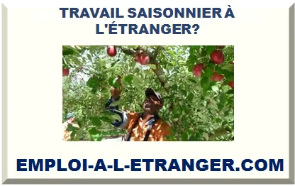 TRAVAIL SAISONNIER À L'ÉTRANGER 2026-2027>
                    <div class=